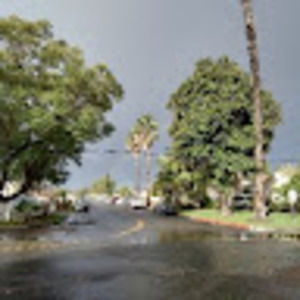 Meet your Posher, Margarito